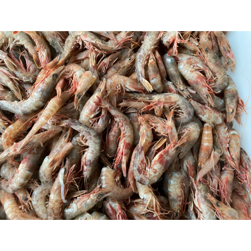  Frozen Whiskered Velvet Sea Shrimp Factory